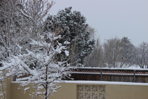 Late March snow